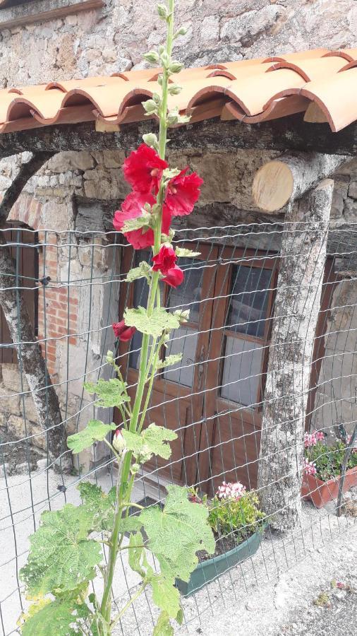 Les Tremieres Bed and Breakfast Saint-Paul-des-Fonts Exteriör bild